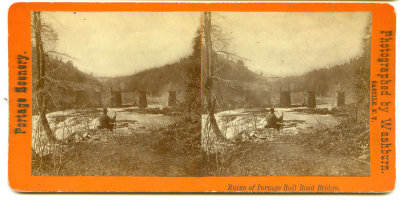 wbruinswashburn2.jpg
