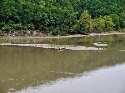 P8276431_lzn2.jpg