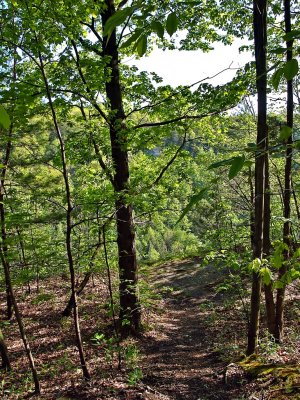 A Short Path With A Abrupt End