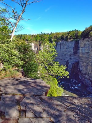 The Gorge With Rapids