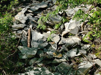 Some Shale Rock At One Of Slide Areas