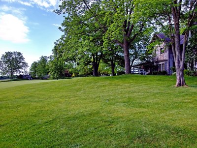 Looking West From The South Side Of The House