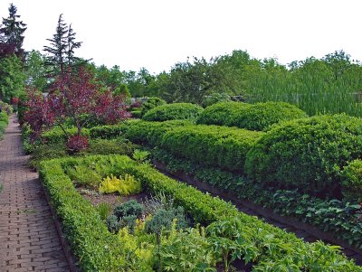 Inside The Walled-in Garden