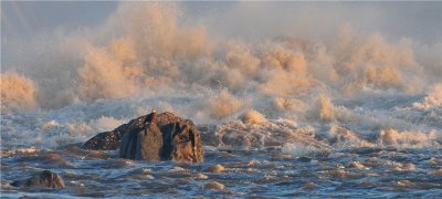 Bald Eagle in Stormy Waters .....