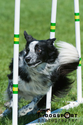 SCV_8065.jpg