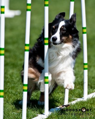 SCV_8013.jpg