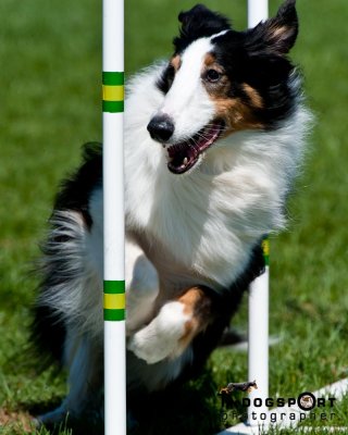 SCV_8242.jpg