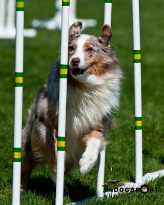 SCV_8271.jpg