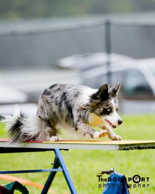 _NFT0901.jpg