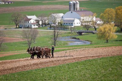Springtime in Amish country