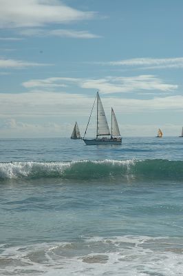 DSC_0407 800 usm.JPG