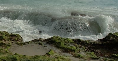On the beach WA