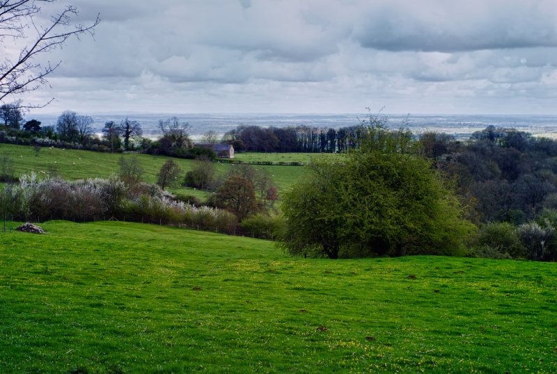 L1000237_HDR.jpg