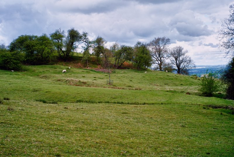 L1000246_HDR.jpg