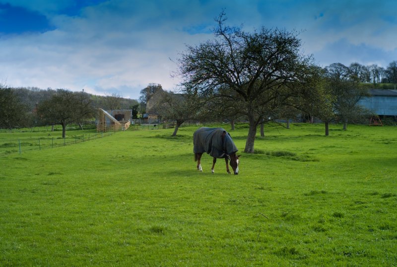 L1000277.jpg