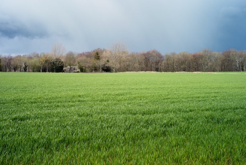 L1000345.jpg