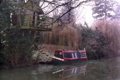Tree house and canal boat