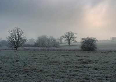 Cherwell Valley between Steeple Aston and Lower Heyford