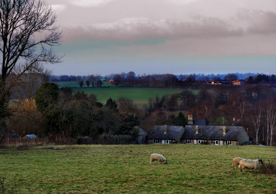 Looking across to the Eyecatcher from Lower Heyford
