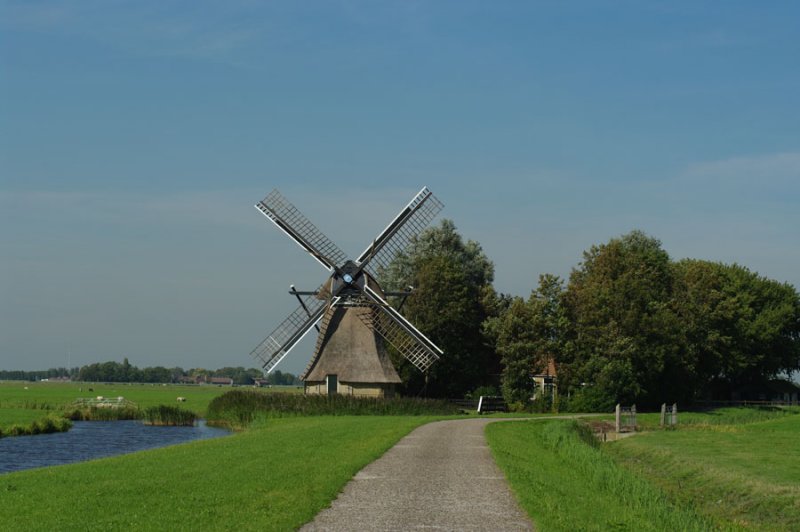De Poelen