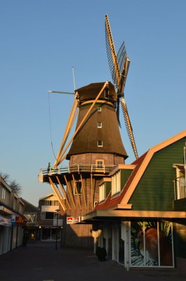 De Leeuw