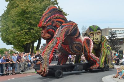 Fruitcorso