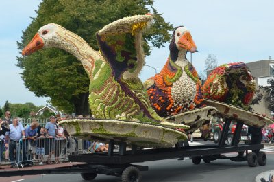 Fruitcorso