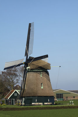 Molen D