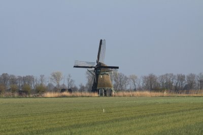 molen P