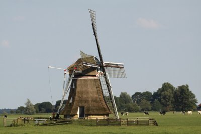 Steenhuistermolen