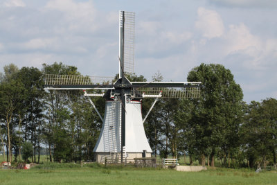 De Olifant