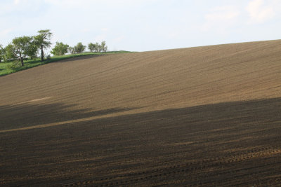 tussen Berssel en Zilly 