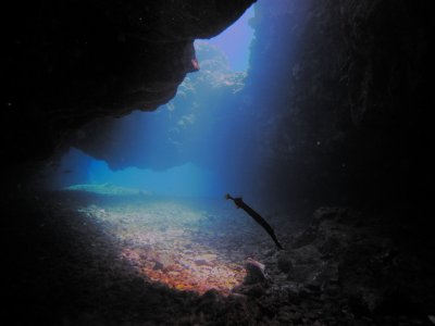 Caves Puako