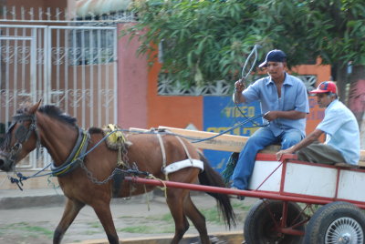 No drivers license is required to bring your horse into Managua, Nicaragua.