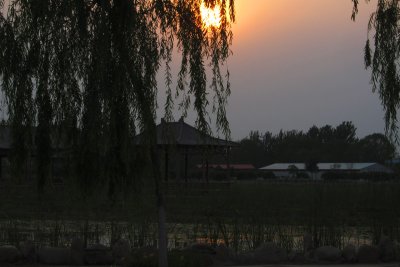 IMG_7251.jpg