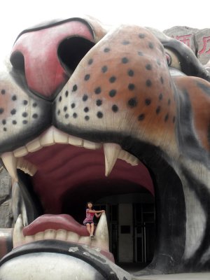 DSCN5276.jpg