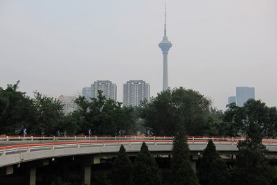 IMG_8586.jpg