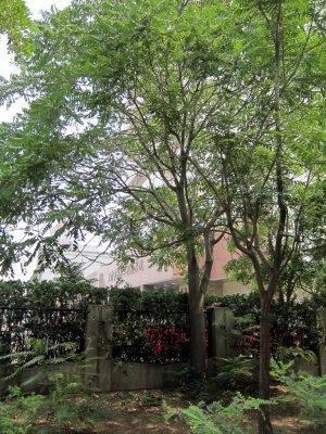 IMG_8617.jpg