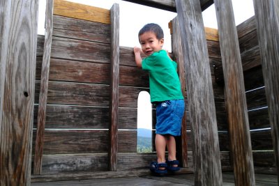 IMAG0095.jpg