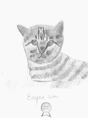 A Hanukkah Cat