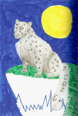 Emma Gallery 2nd Grade