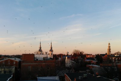 IMAG1458.jpg