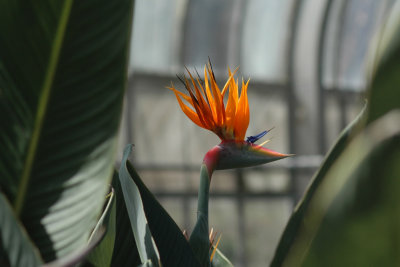 DSC_4762.jpg