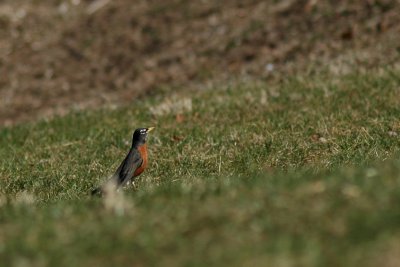 DSC_4924.jpg