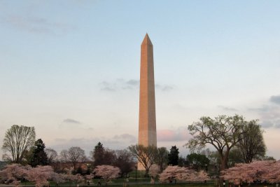 IMG_1345.jpg