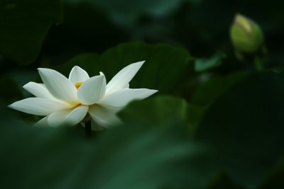 IMG_5861.jpg