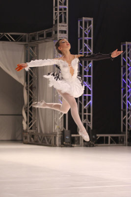 IMG_3329.jpg