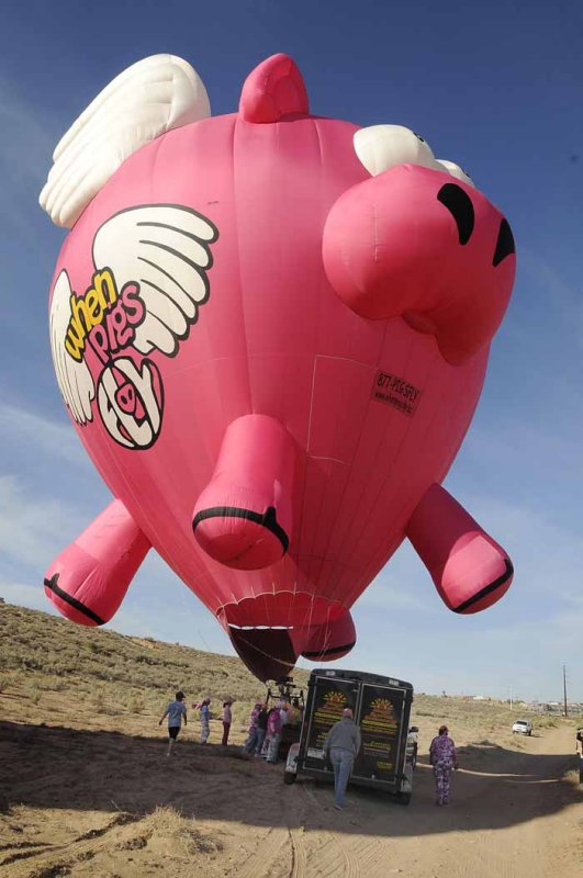 When Pigs Fly...