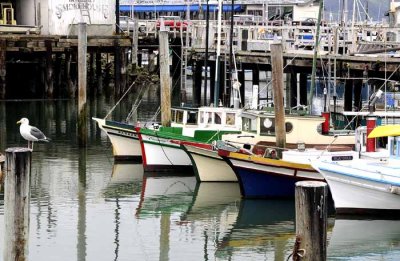 All Things Boats...Dockside