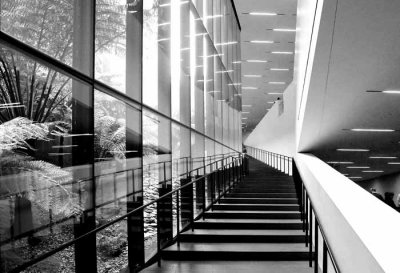 Grand Staircase at the De Young